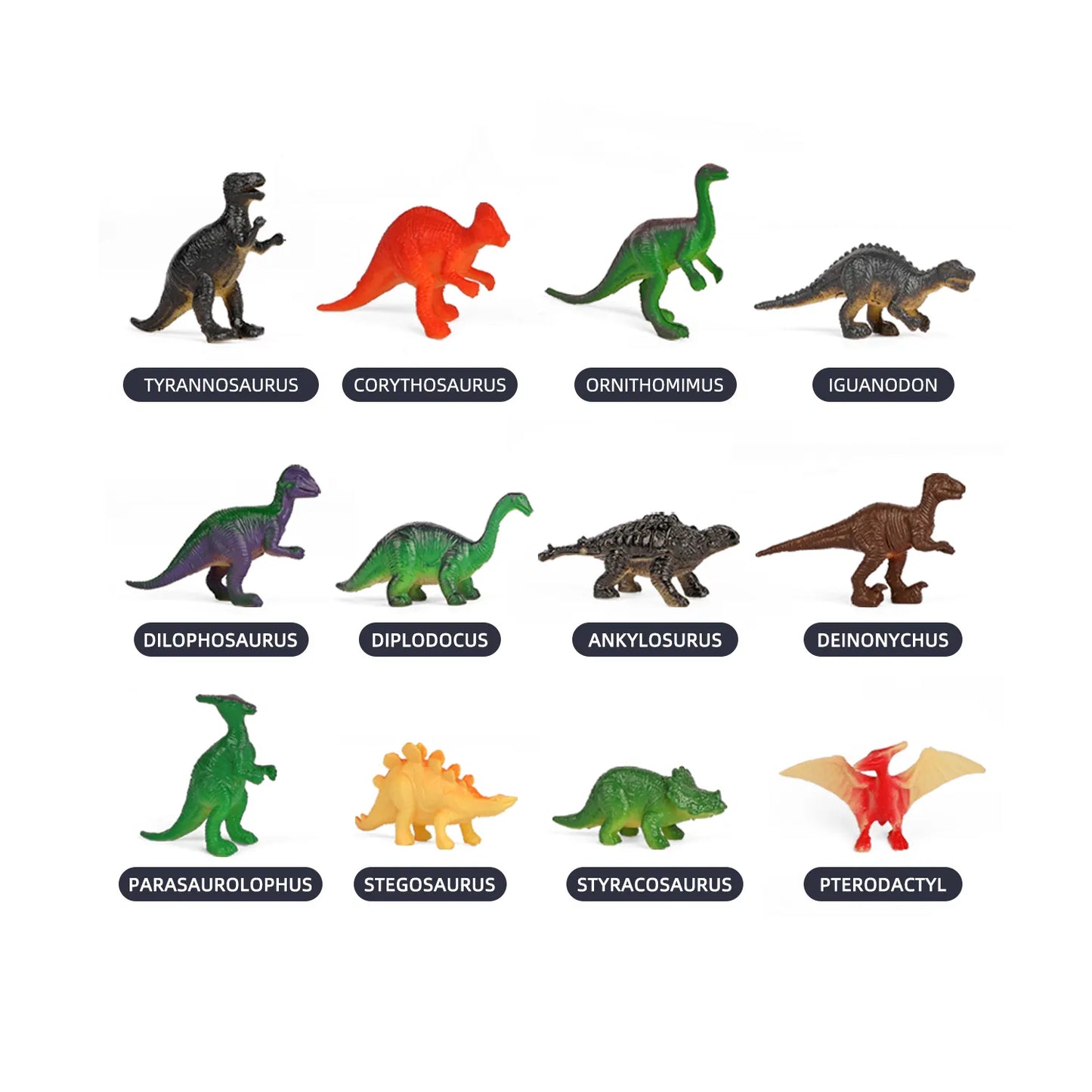 Œuf de dinosaure - Fouille paléontologique - mini dinosaures - cartes dino - Fossile
